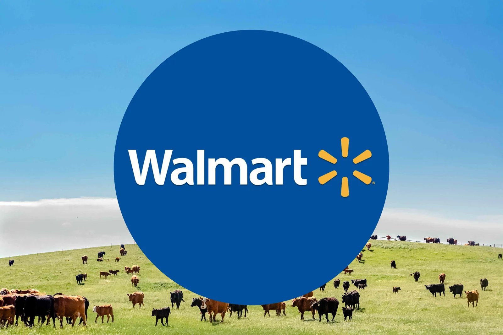 Why Walmart Is the Best Store for Grass-Fed Ground Beef